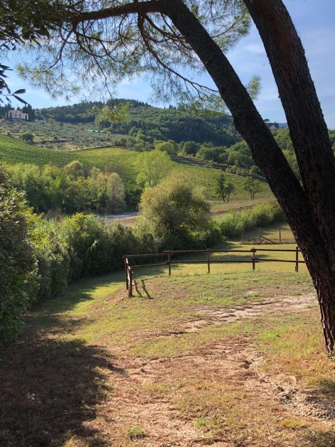 La Gufaia - Holiday House With Private Pool Near Florence Carmignano Exterior photo